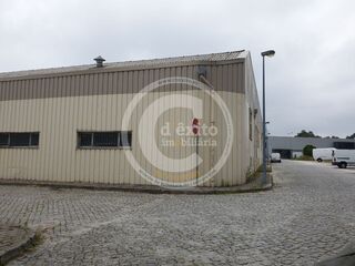 -706145184_mu58ro0ruch6f2l8.jpg