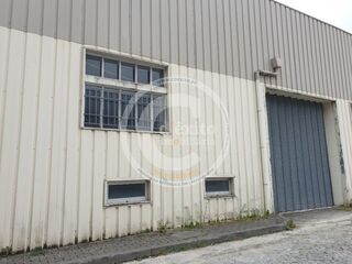 -706145184_rsp31mud23ff3oen.jpg