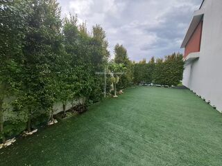 -212879466_ID935e9401-0000-0500-0000-0000155c7c3a.jpg