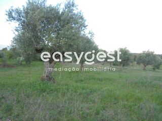 -199378358_ID8355ab00-0000-0500-0000-0000118080fd.JPG