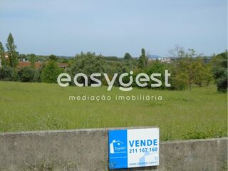 -199403857_ID38c2ab00-0000-0500-0000-000011d19fb5.JPG