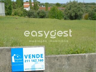 -199403857_ID38c2ab00-0000-0500-0000-000011d19fb9.JPG
