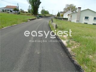 -199403857_ID38c2ab00-0000-0500-0000-000011d19fc2.JPG