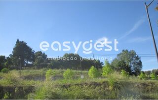 -199679069_ID3491b000-0000-0500-0000-000011d26f76.JPG