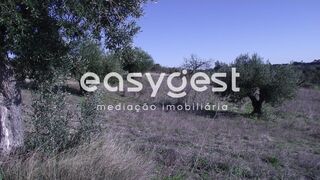 -203415443_ID18a0ec00-0000-0500-0000-0000115a2ebd.JPG