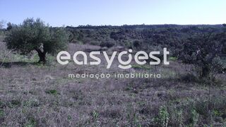 -203415443_ID18a0ec00-0000-0500-0000-0000115a2ebe.JPG