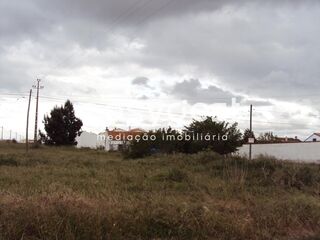 -209004212_IDe1ab4b01-0000-0500-0000-0000101f8da3.JPG