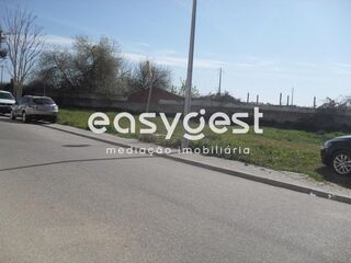 -209452617_ID343f5601-0000-0500-0000-00001195479c.JPG