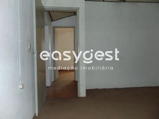 -209481728_ID73cb5601-0000-0500-0000-00001197906a.JPG