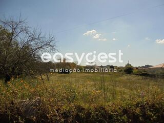 -209565306_ID5fa05801-0000-0500-0000-0000111476c7.JPG