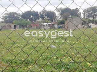 -209574823_ID8bcf5801-0000-0500-0000-0000121ee0a0.jpg