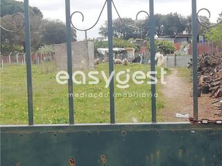 -209574823_ID8bcf5801-0000-0500-0000-0000121ee0a4.jpg