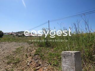 -209630182_IDb0045a01-0000-0500-0000-000011a1fe52.JPG