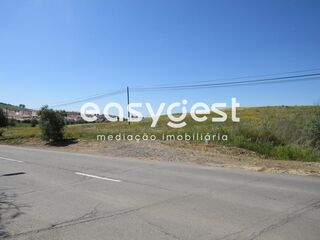 -209630182_IDb0045a01-0000-0500-0000-000011a1fe55.JPG