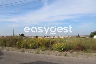 -209632721_IDe7105a01-0000-0500-0000-000010147fc6.JPG
