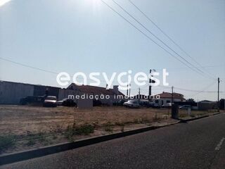 -209632721_IDe7105a01-0000-0500-0000-000010147fdc.jpg