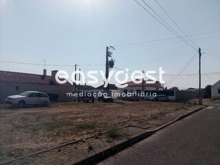 -209632721_IDe7105a01-0000-0500-0000-000010147fe0.jpg