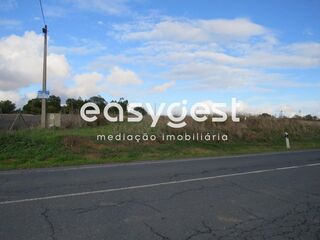 -209954954_ID8be46101-0000-0500-0000-0000107caf1e.JPG