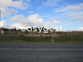 -209954954_ID8be46101-0000-0500-0000-0000107caf20.JPG