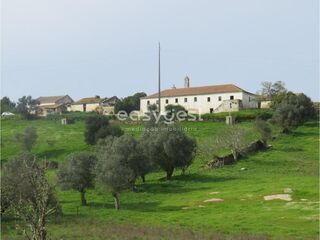 -210993674_IDd4337801-0000-0500-0000-000012f43dd5.JPG