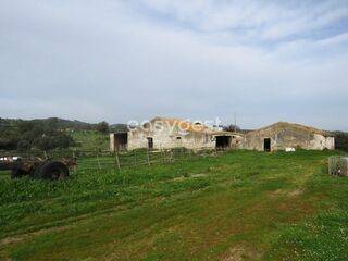 -210993674_IDd4337801-0000-0500-0000-000012f43de9.JPG