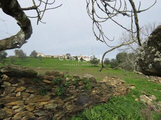 -210993674_IDd4337801-0000-0500-0000-000012f43dfe.JPG