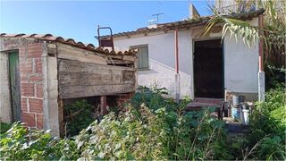 -212138577_IDf54d8d01-0000-0500-0000-0000148fa8ac.jpg