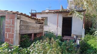 -212138577_IDf54d8d01-0000-0500-0000-0000148fa8ad.jpg
