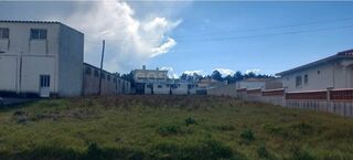 -212563105_IDd4039401-0000-0500-0000-000014f645b0.jpg