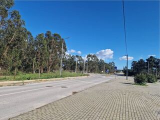 -212880971_IDe33a9701-0000-0500-0000-0000156035ec.jpg