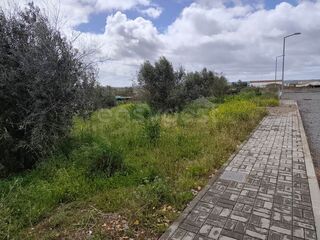 -212934753_ID84e59901-0000-0500-0000-000015711d76.jpg