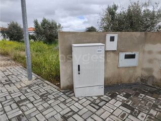 -212934753_ID84e59901-0000-0500-0000-000015711d7b.jpg