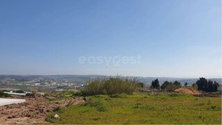 -212969843_IDf64a9901-0000-0500-0000-00001562baea.jpg