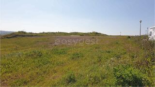-212969843_IDf64a9901-0000-0500-0000-00001562baf0.jpg