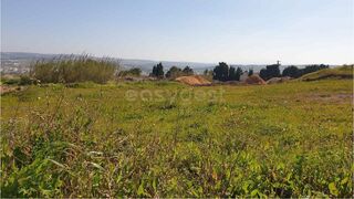 -212969843_IDf64a9901-0000-0500-0000-00001562baf2.jpg