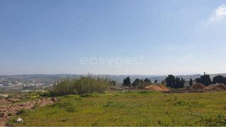 -212969843_IDf64a9901-0000-0500-0000-00001562baf6.jpg