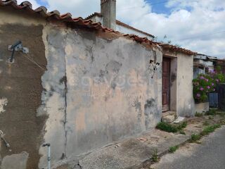 -212974791_IDeac59a01-0000-0500-0000-00001583f3a5.jpg