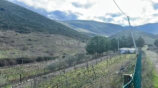 -213140872_IDf94e9d01-0000-0500-0000-000015bac185.jpg