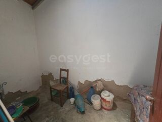 -213143946_IDd99f9d01-0000-0500-0000-000015c12f55.jpg