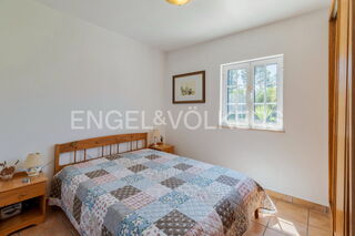 -881091498_00cd032a-b5e1-48a8-b6d1-bed9f18db9ef.jpg