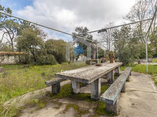 -213074790_ID0e829c01-0000-0500-0000-000015a783f2.jpg