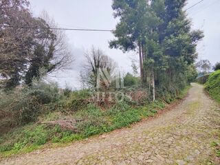 -211074946_IDe7b37901-0000-0500-0000-000012c1312f.jpg
