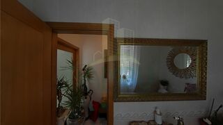 -213138681_IDa8b3cb9d-bb24-4ed2-9b62-eef7918f450a.jpg
