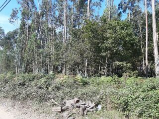 -8019741086_prod_177750_slide.jpg