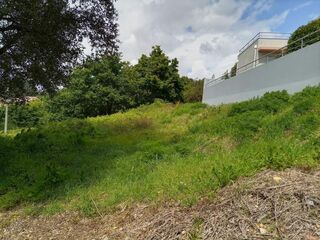 -8025096764_prod_721049_slide.jpg