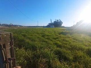 -8064543259_prod_206552_slide.jpg