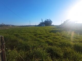 -8064543259_prod_206556_slide.jpg