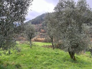 -8072140257_prod_2314920_slide.jpeg