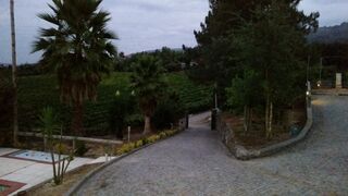 -8076126446_prod_2251397_slide.jpg