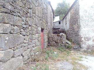 -8092086332_prod_2297156_slide.jpg